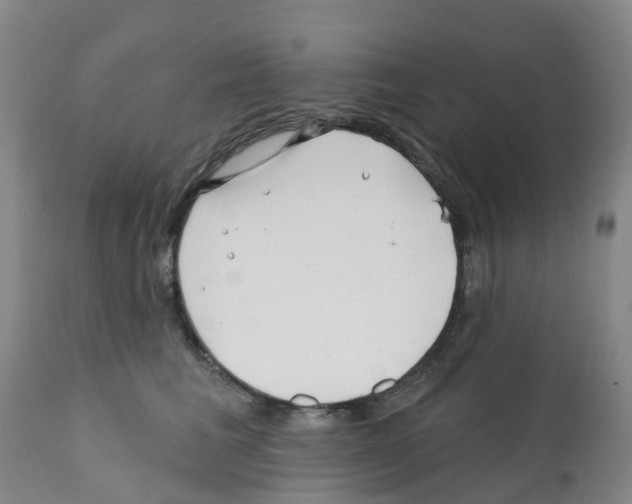 X0000112390613200909241240