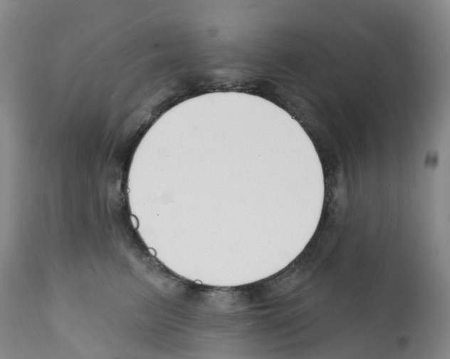 X0000112390615200909241240