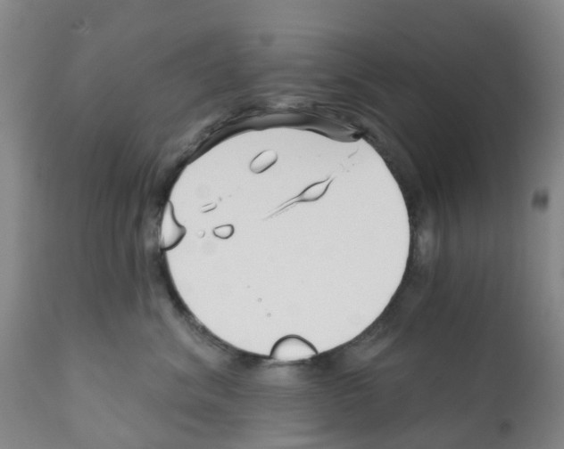 X0000112390620200909241240