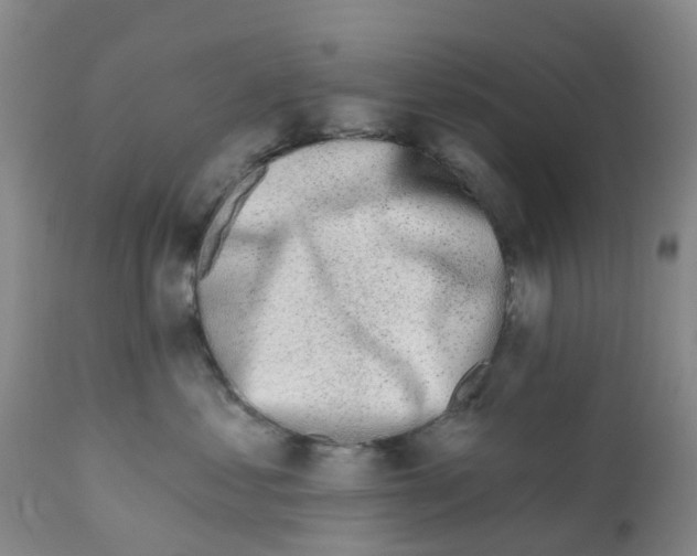 X0000112390621200909241240
