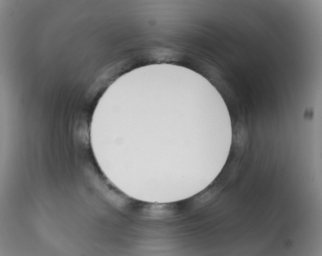 X0000112390622200909241240
