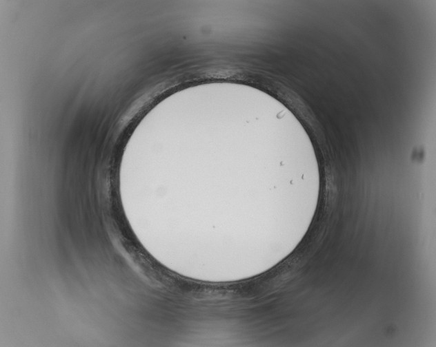 X0000112390626200909241239