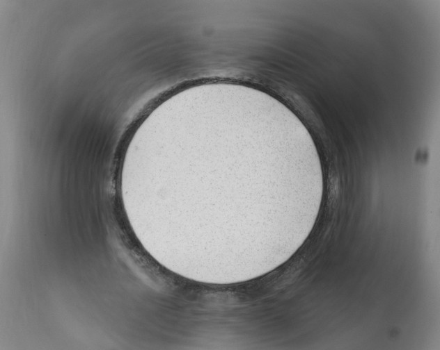 X0000112390628200909241239