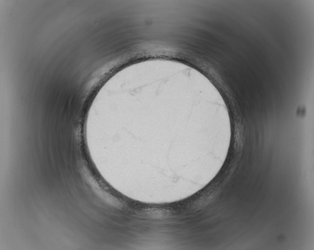 X0000112390629200909241239