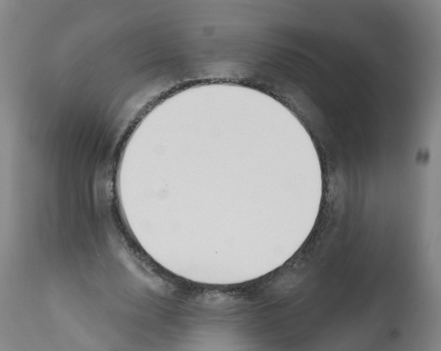 X0000112390632200909241239
