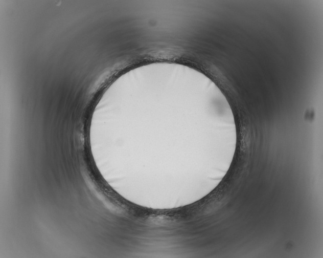 X0000112390634200909241239