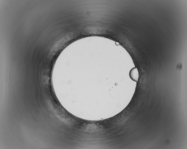 X0000112390635200909241239