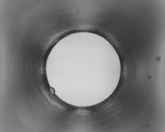 X0000112390636200909241239
