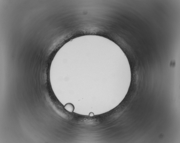 X0000112390638200909241239