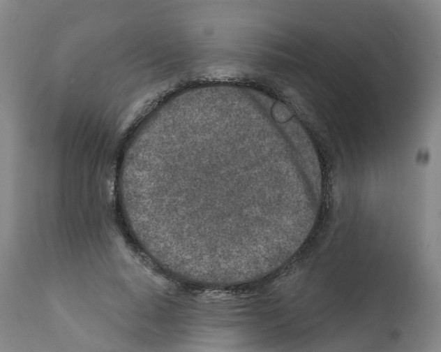 X0000112390640200909241239