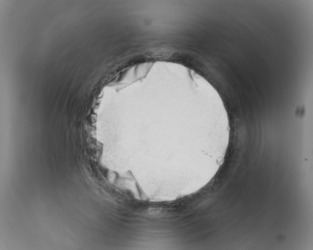 X0000112390641200909241239