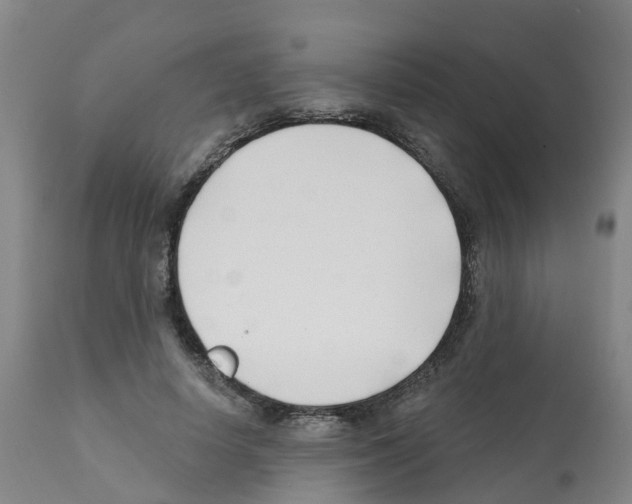X0000112390642200909241239