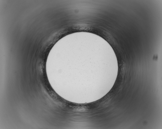 X0000112390643200909241240