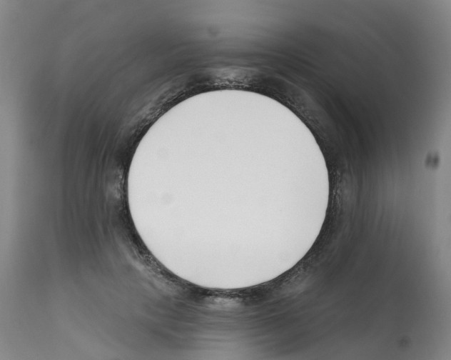X0000112390649200909241240