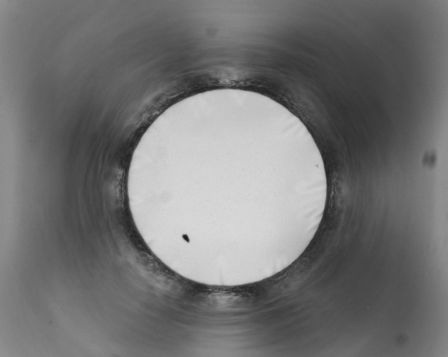 X0000112390650200909241240