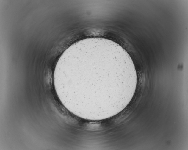 X0000112390651200909241240