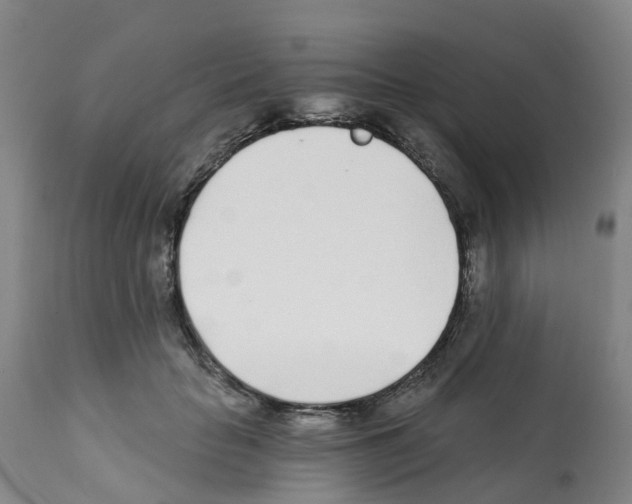 X0000112390653200909241240