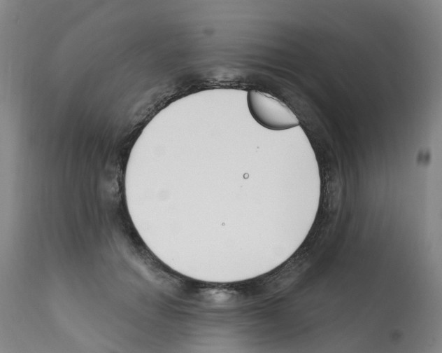 X0000112390654200909241240