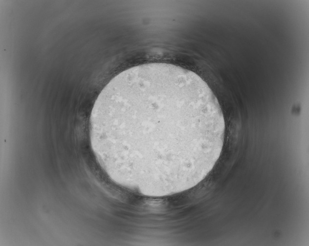 X0000112390659200909241240