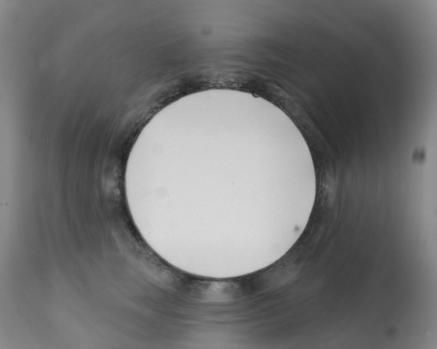 X0000112390663200909241240