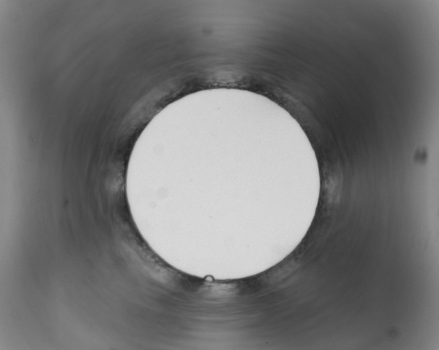 X0000112390665200909241240