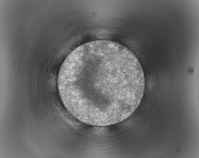 X0000112390667200909241240