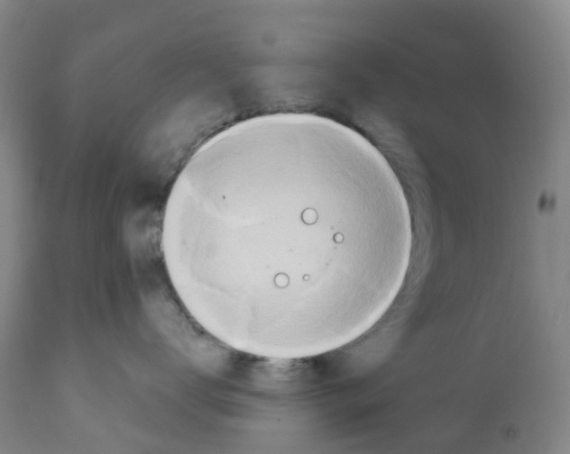 X0000112390672200909241240