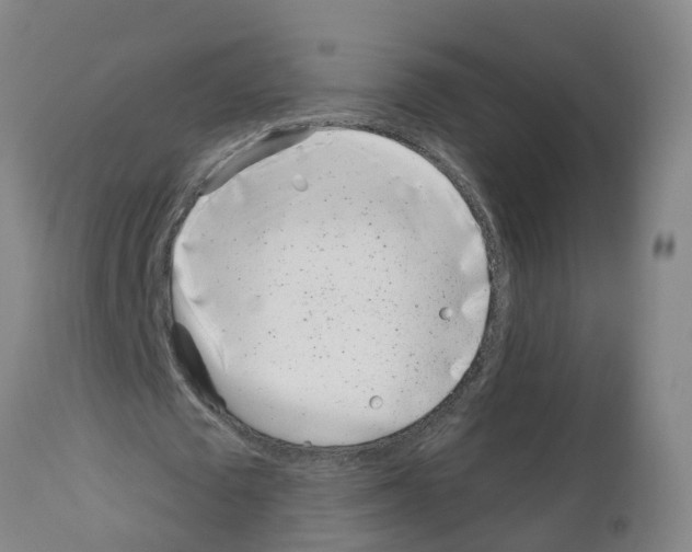 X0000112390673200909241239