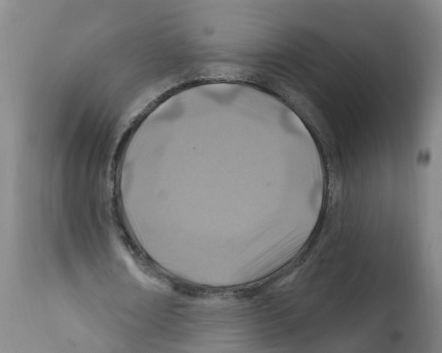 X0000112390674200909241239