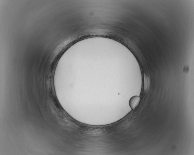X0000112390675200909241239