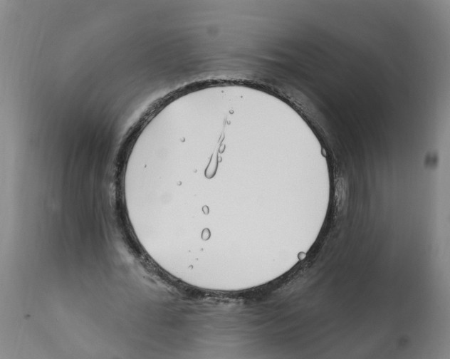 X0000112390676200909241239