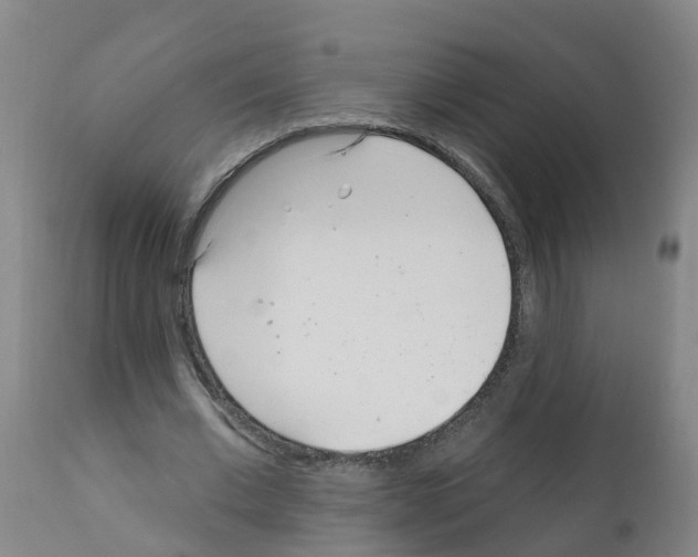 X0000112390677200909241239