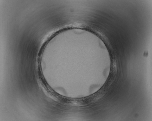 X0000112390678200909241239
