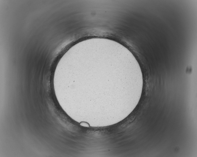 X0000112390679200909241239