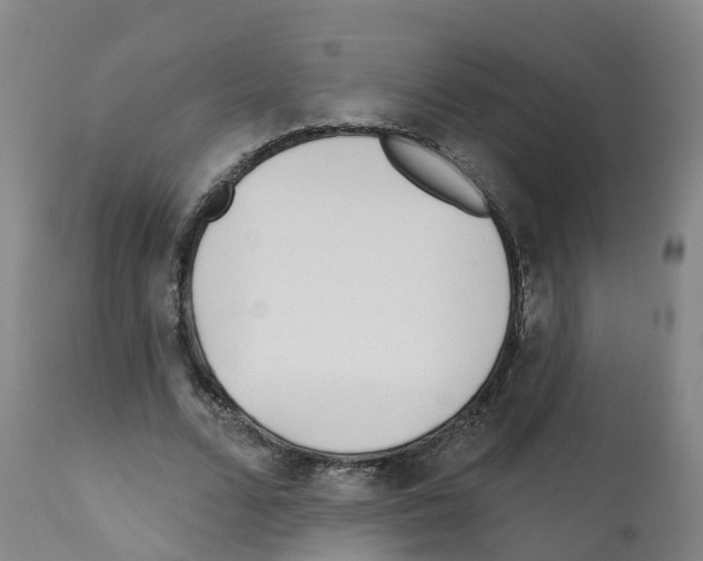 X0000112390680200909241239