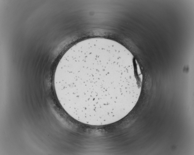 X0000112390683200909241239