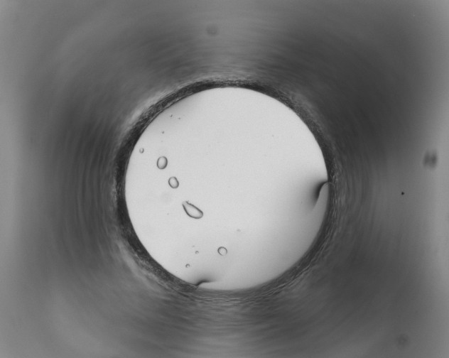X0000112390684200909241239