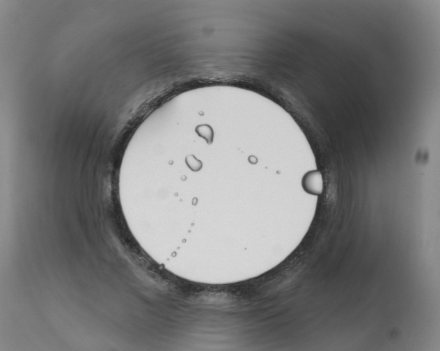 X0000112390685200909241239