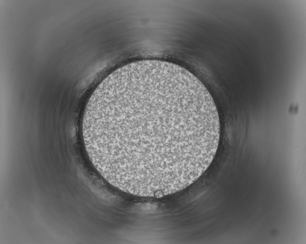 X0000112390687200909241239