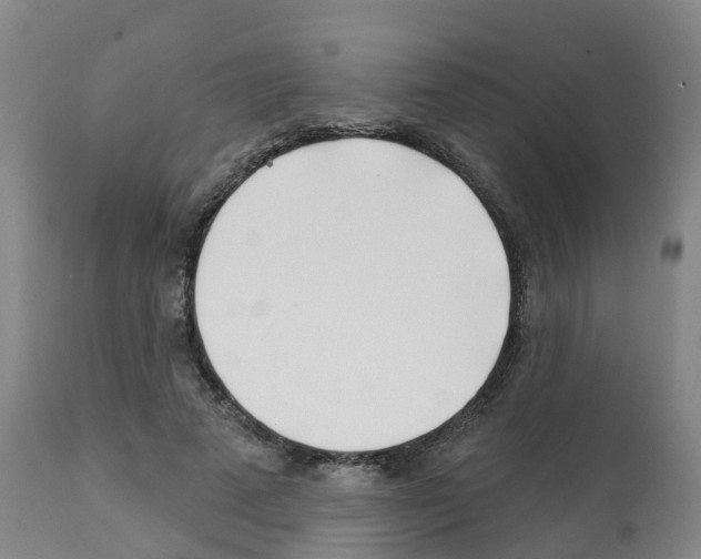 X0000112390689200909241239