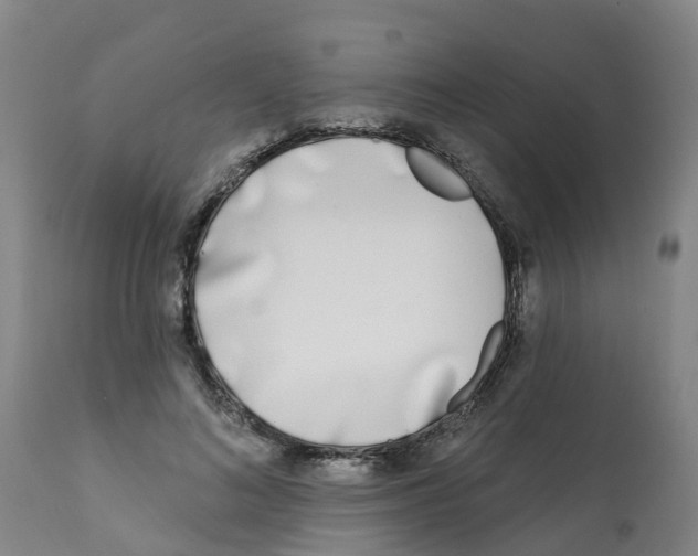 X0000112390692200909241239