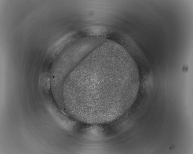 X0000112390696200909241239