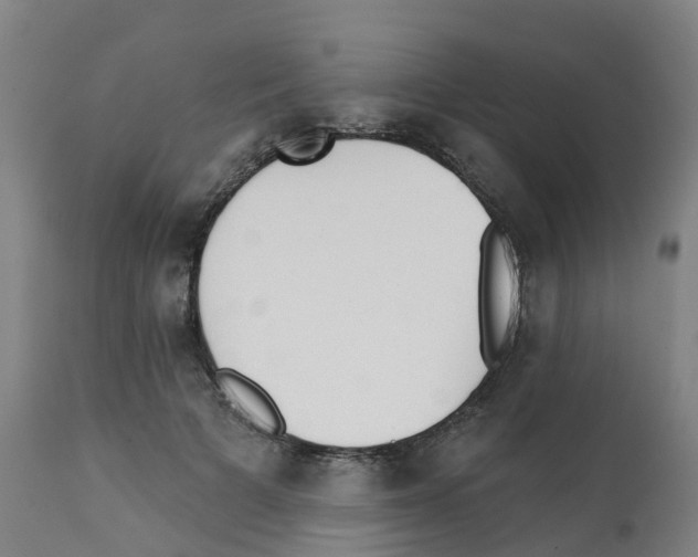 X0000112390697200909241239