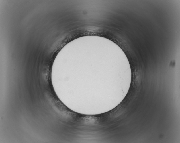 X0000112390698200909241239