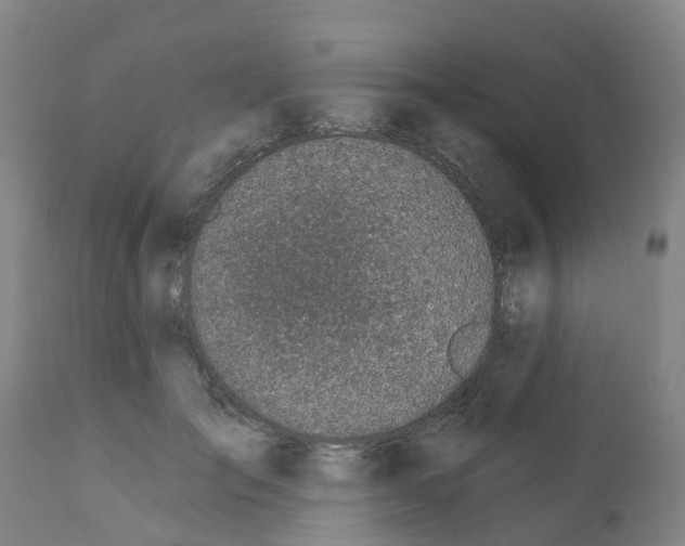 X0000112390701200909241239