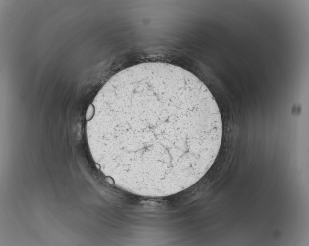 X0000112390703200909241239