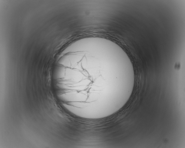 X0000112390704200909241239