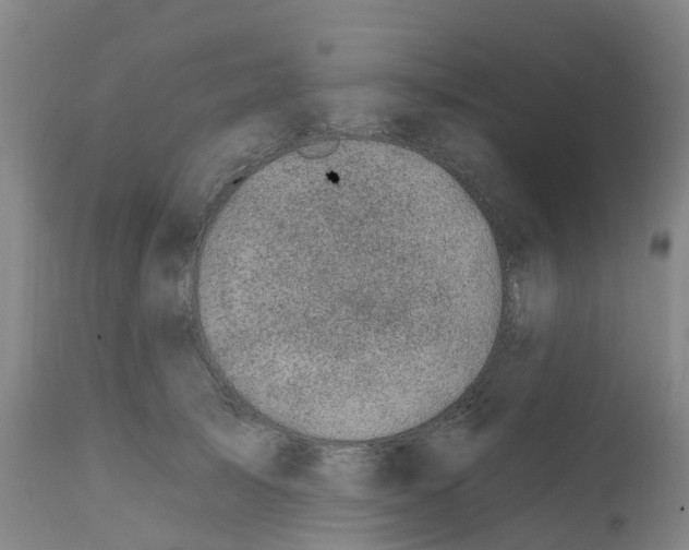 X0000112390705200909241239