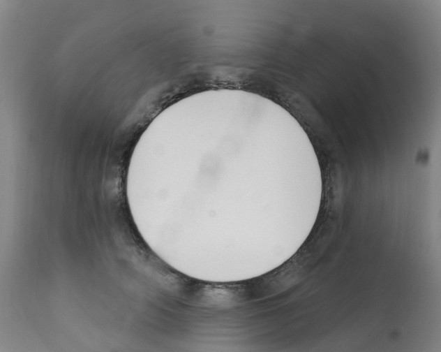 X0000112390706200909241239