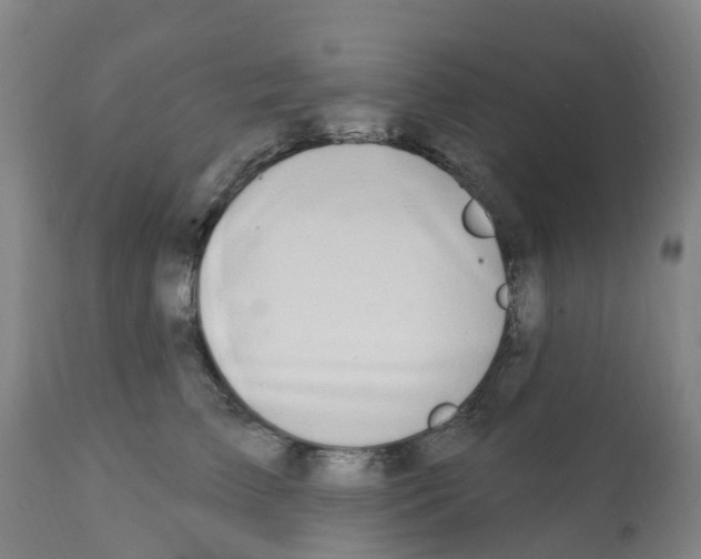 X0000112390709200909241239